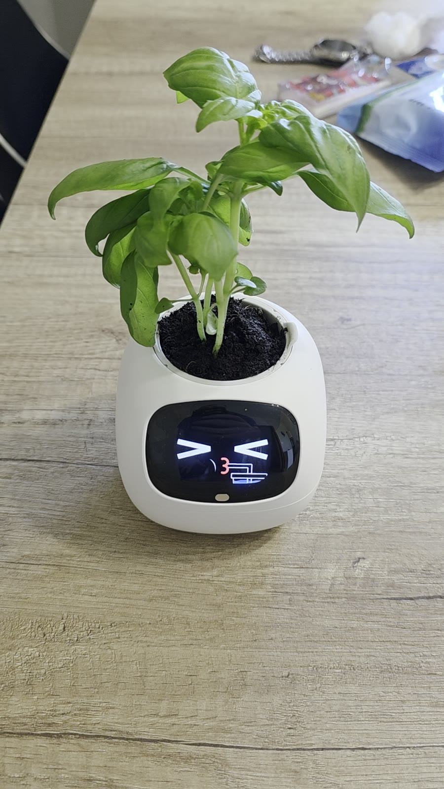 Ivy Gen 2 con la faccina che beve, occhi socchiusi e la piccola icona a destra