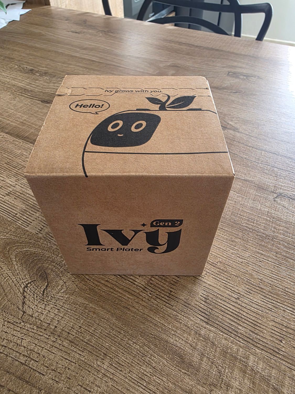 Scatola di cartone di PlantsIO Ivy Gen 2 con il logo del vasetto sorridente