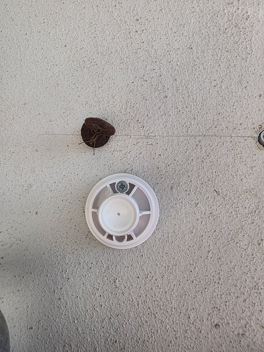 Supporto a snodo di Reolink Argus 4 Pro fissato al muro con due viti