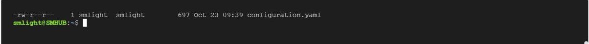 Console del Nano con configuration.yaml di proprietà di smlight dopo la correzione